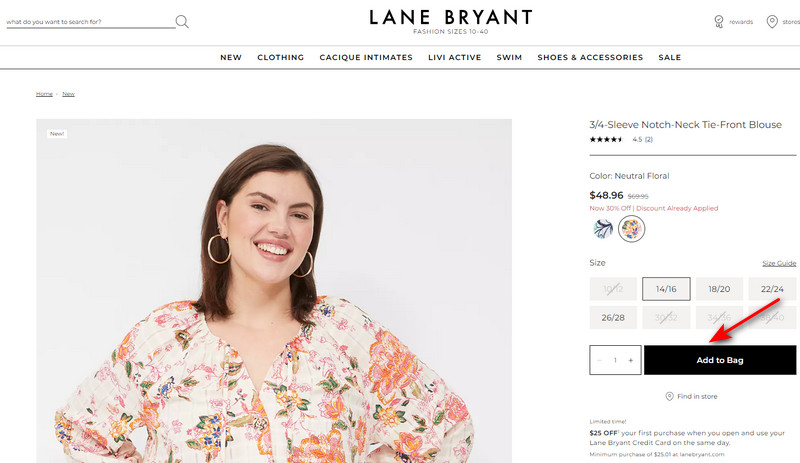 Lane Bryant shopping